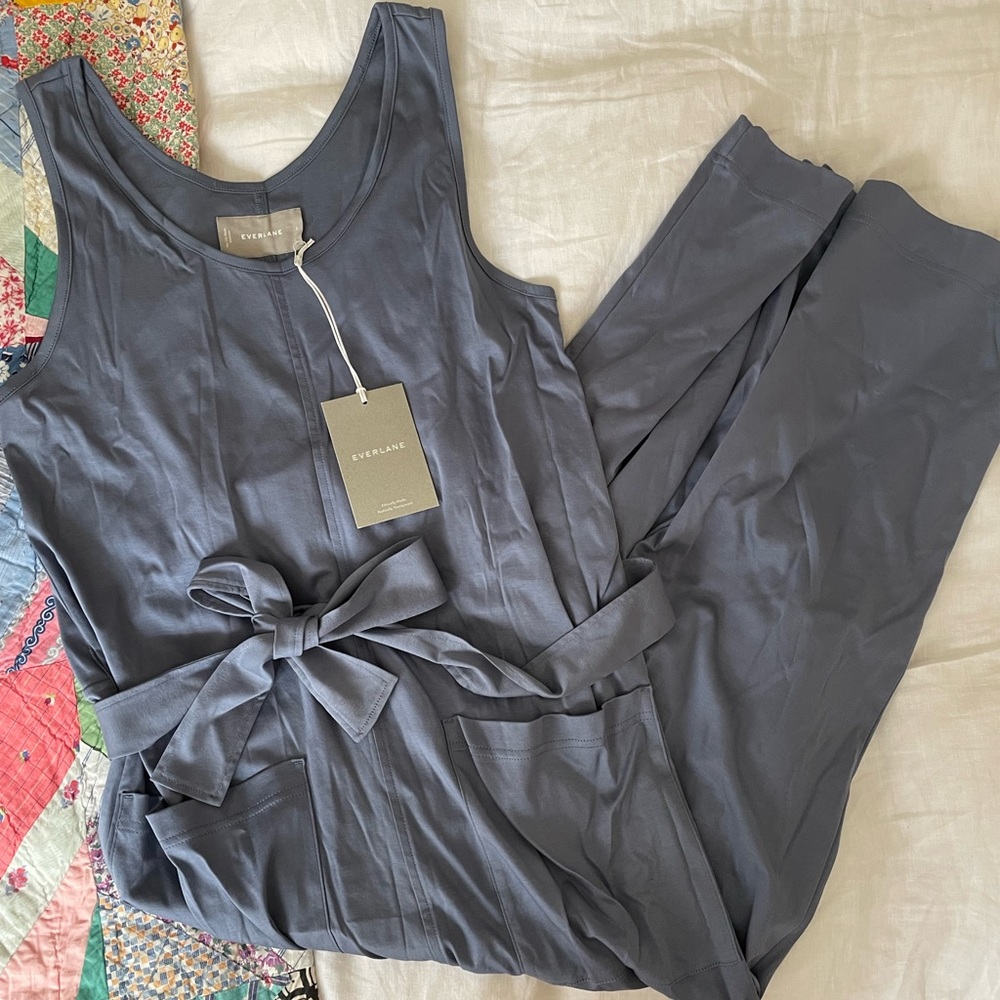 Beautiful Everlane periwinkle jumpsuit w/ belt